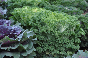 Similar image 194674