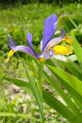 Similar image 194687