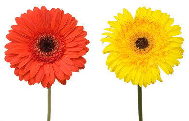 Similar image 194690