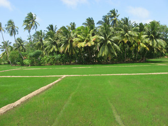 Similar image 194702