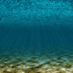 Similar image 194704