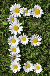 Similar image 194725