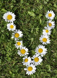 Similar image 194726