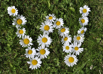 Similar image 194727