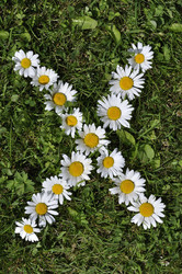 Similar image 194728