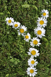 Similar image 194729