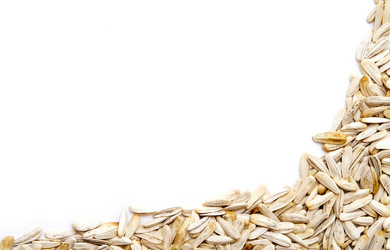 Similar image 194736