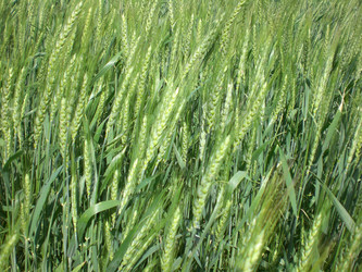 Similar image 194766