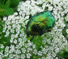 Similar image 194779