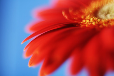 Similar image 194786