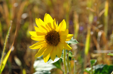 Similar image 194817