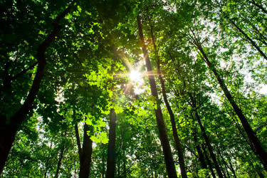 Similar image 194819