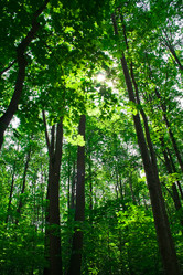 Similar image 194820