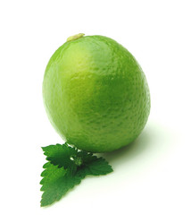 Similar image 194886