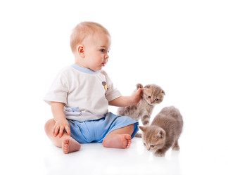 Similar image 194889