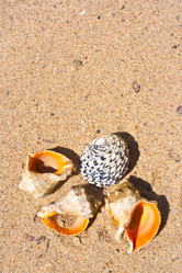 Similar image 194968