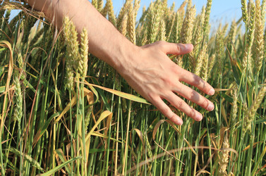 Similar image 195003