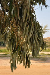 Similar image 195006