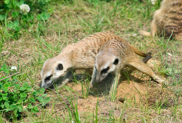 Similar image 195016