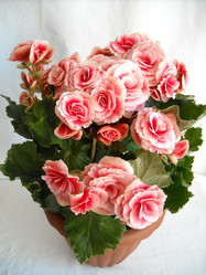 Similar image 195040