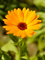 Similar image 195057