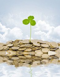 Similar image 195066