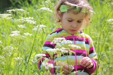 Similar image 195099