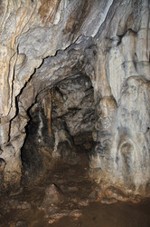 Similar image 195111