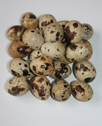 Similar image 195127