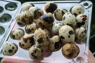 Similar image 195128