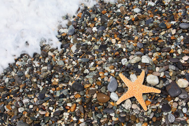 Similar image 195158