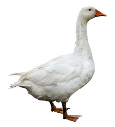 Similar image 195278