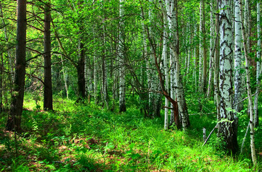 Similar image 195309