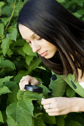 Similar image 195331