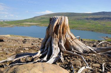 Similar image 195341