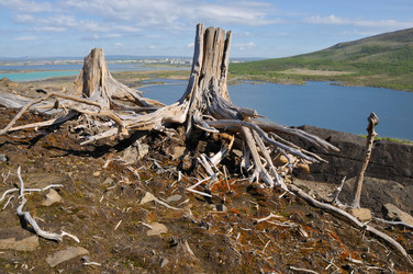 Similar image 195347