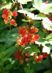 Similar image 195356