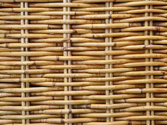 Similar image 195359