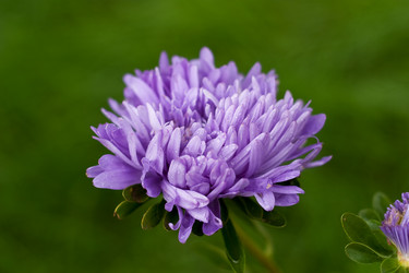 Similar image 195383