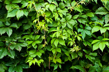 Similar image 195386