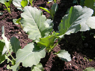 Similar image 195389