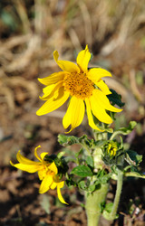 Similar image 195395