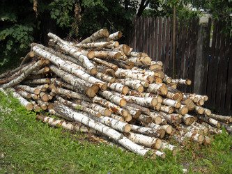 Similar image 195404