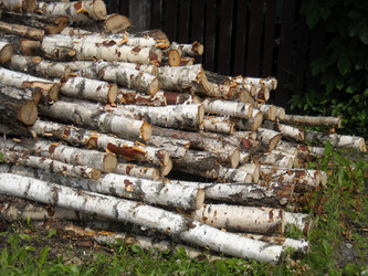 Similar image 195405