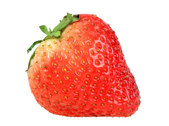 Similar image 195409