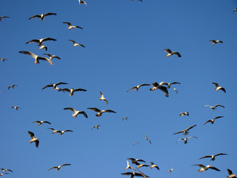 Similar image 195425