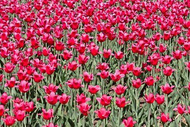 Similar image 195446