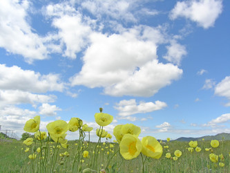 Similar image 195448