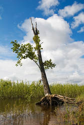 Similar image 195451