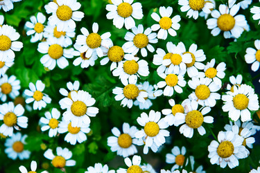 Similar image 195459